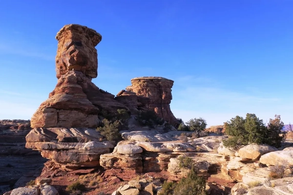 Sandstone spires in The Needles District