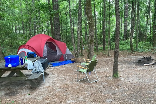 A campsite in the forest at Congaree National Park