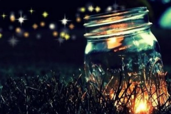 Synchronized fireflies lighting up the forest at night