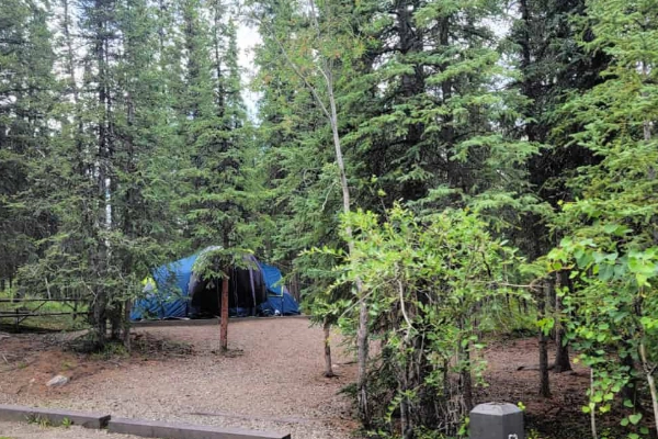 A tent set up at Riley Creek Campground, deep in the Alaskan wilderness