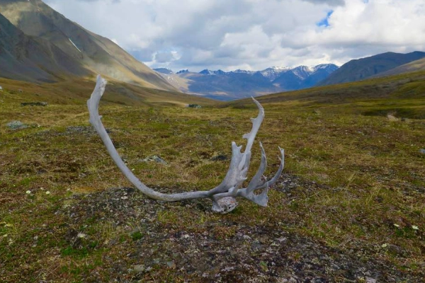 The vast tundra of Oolah Valley with a fossilized dinosaur track
