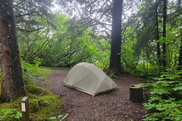 A tent set up in the forested Bartlett Cove Campground