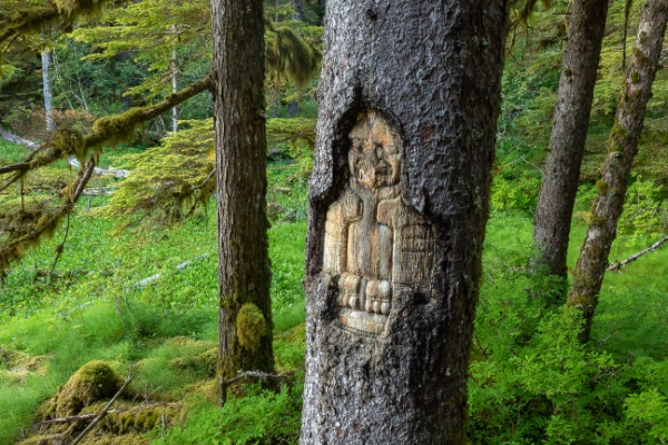 Colorful rock markers with Tlingit symbols lining a coastal trail