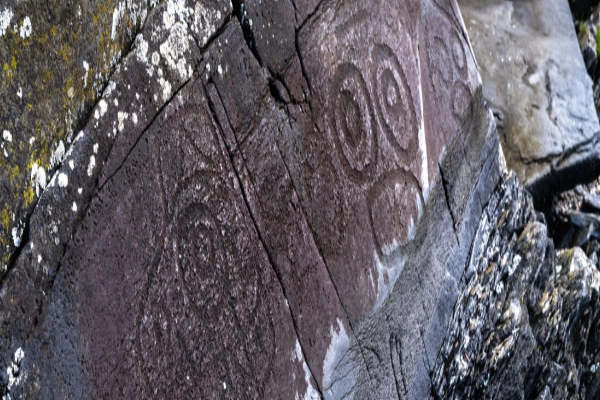 Ancient Tlingit petroglyphs of whales and ravens carved into stone