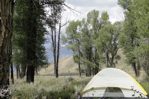 A campsite with a view of the Gros Ventre River