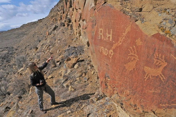 Ancient Shoshone petroglyphs of elk etched into a rock face near Jenny Lake