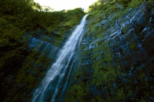 The towering 400-foot Waimoku Falls at the end of a lush trail