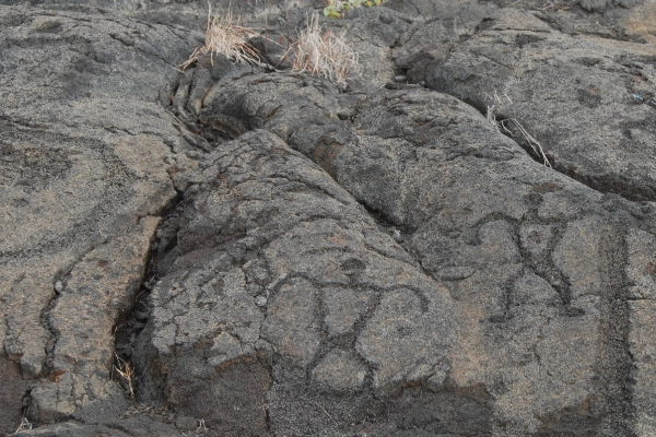 Ancient petroglyphs carved into the lava rock at Puʻu Loa
