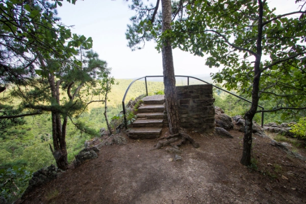 A lush, green hiking trail in Gulpha Gorge