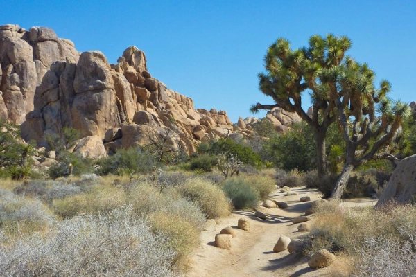 A hiking trail winding through the rock-enclosed Hidden Valley