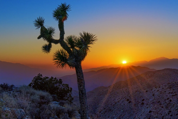 A sweeping panoramic view of the Coachella Valley from Keys View
