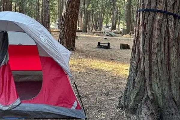 A campsite at Sentinel Campground in Kings Canyon