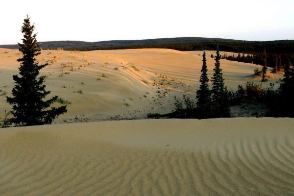 The massive Great Kobuk Sand Dunes in the middle of the Arctic tundra