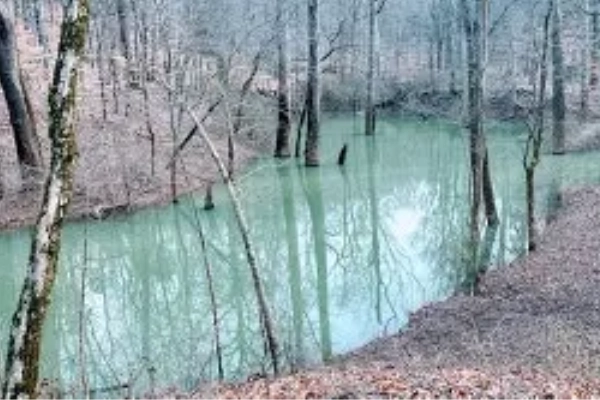 Water from an underground river bursting into daylight at Echo River Spring
