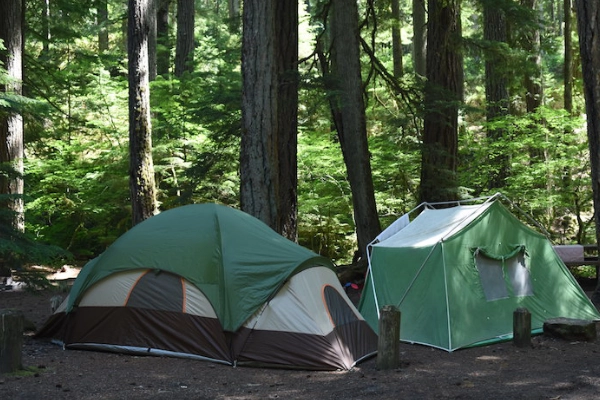 A tent set up in a forested campground under starry skies