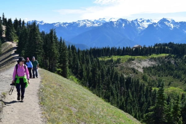 Grandiose mountain views from Hurricane Ridge