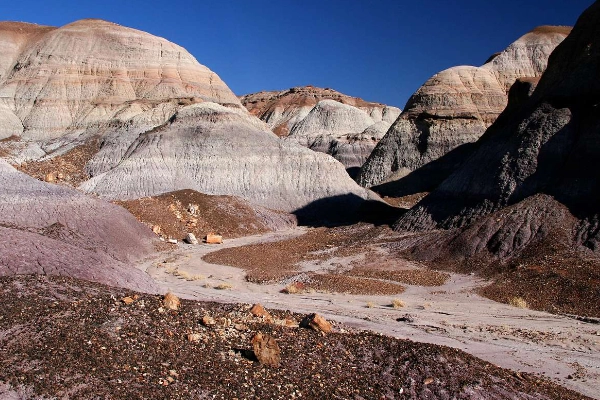 A hiking trail winding through colorful badland hills