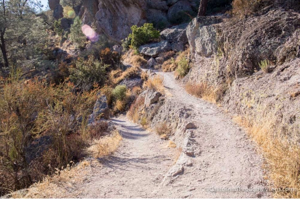 A narrow trail with handrails carved into steep rock spires