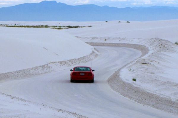 A quirky painted trail marker telling desert tales along a scenic drive