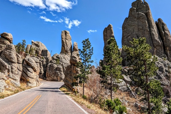 A scenic drive through Custer State Park with granite spires and wildlife