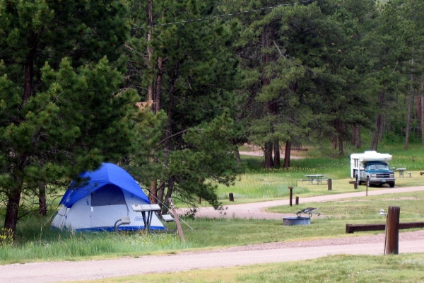 A tent set up in a rustic campground with pine trees and rolling hills