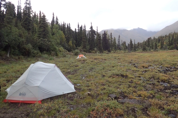 A primitive campsite along a rugged dirt road in the wilderness