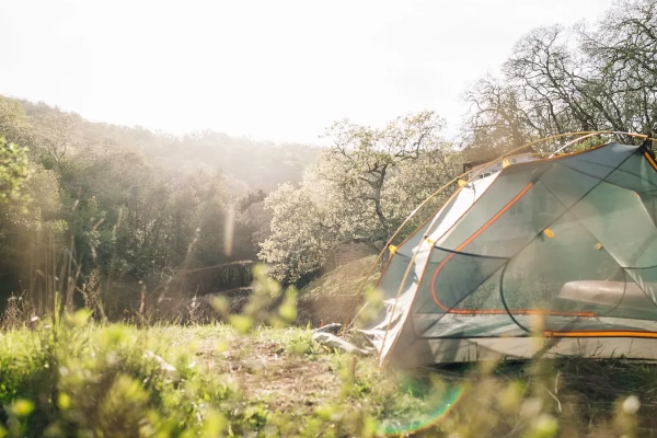 A tent pitched in the vast, remote wilderness of the park's backcountry