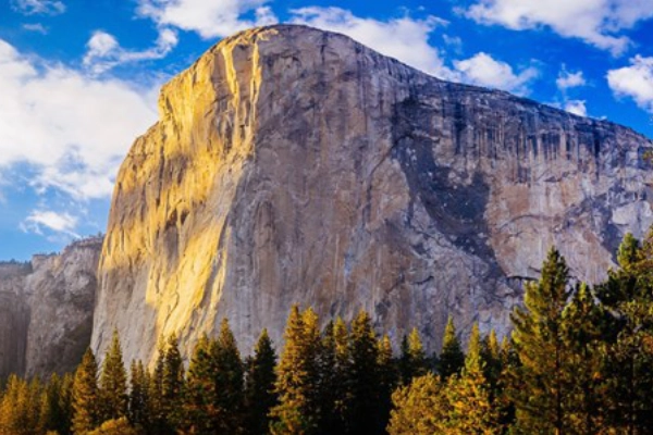 A modern lodge centrally located in Yosemite Valley with great views